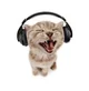 Wilbur Gold
