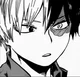 Shoto Todoroki