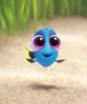 Dory