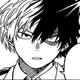 Shoto Todoroki