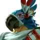 Kass
