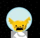 space cat-et