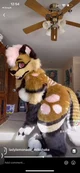 Furry TikToker 