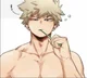 Katsuki Bakugou 