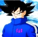 Son Goku