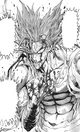 Garou