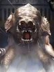 Rancor 
