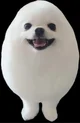 Eggdog