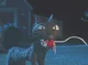 Coralines cat