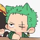 Zoro Timeskip