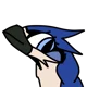 Bluejay