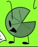 Lily pad