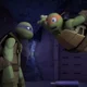 Donny Mikey-TMNT
