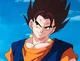 Vegetto 
