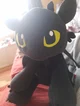 Toothless 
