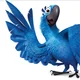 Blu Gunderson