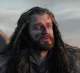 Thorin oakenshield