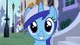 MLP - Minuette