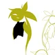 Neon Yellow - AvM