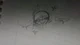 Sophie