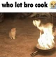 Chef Cat