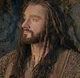 Thorin oakenshield