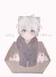 Neko - Cat Boy
