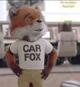 Car fox 
