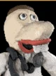 dr reflex