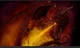 Fire Dragon