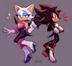 Rouge and Shadow
