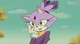 Blaze the cat