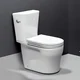 farting toilet