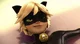 Chat noir