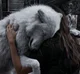 Werewolf Snow
