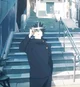 Megumi Fushiguro 