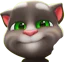 Tom insults you