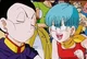 Bulma and chichi 