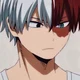 Shoto Todoroki 