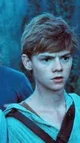 Newt