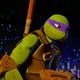 Donatello Hamato