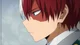 Shoto Todoroki 