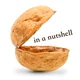 In A Nutshell