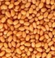 Beans