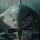 King Shark