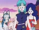 Bulma and friends