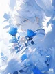 Kashin 