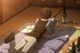 Dazai