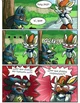 Cinderace y Lucario 