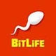 BitLife Teacher